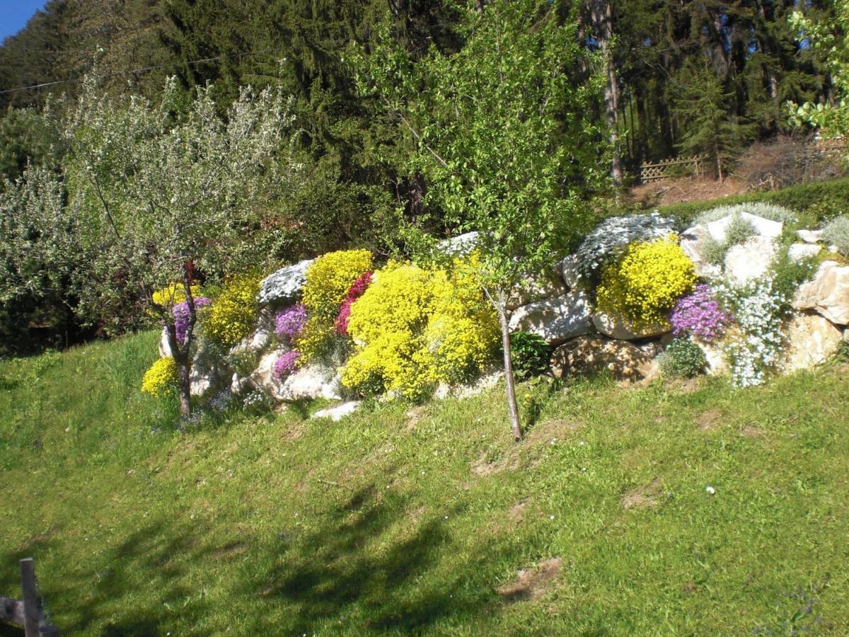 Ferienwohnungen Eggarter Fresach Kültér fotó